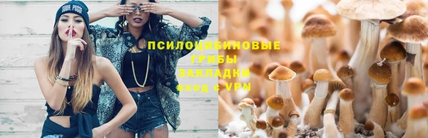 МДПВ Арсеньев