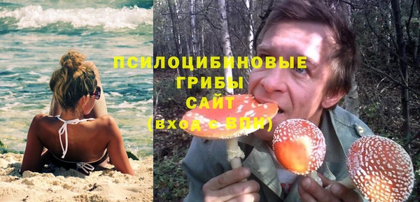 МДПВ Арсеньев