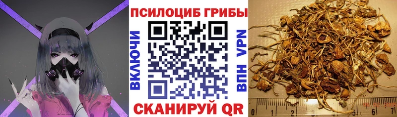Псилоцибиновые грибы GOLDEN TEACHER ОМГ ОМГ маркетплейс Дзержинск