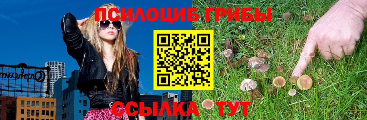продажа наркотиков  Галлюциногенные грибы прущие грибы  Вход с VPN  Дзержинск 
