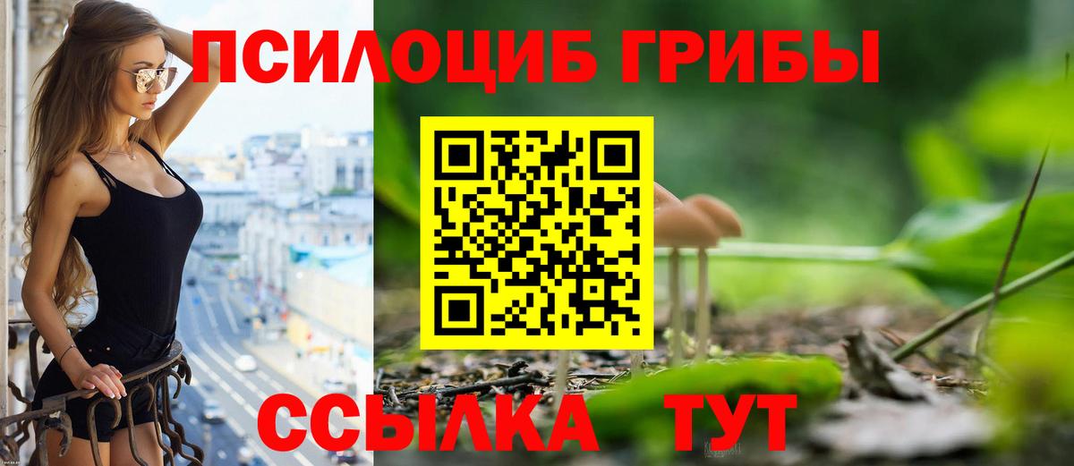 Псилоцибиновые грибы мицелий Дзержинск