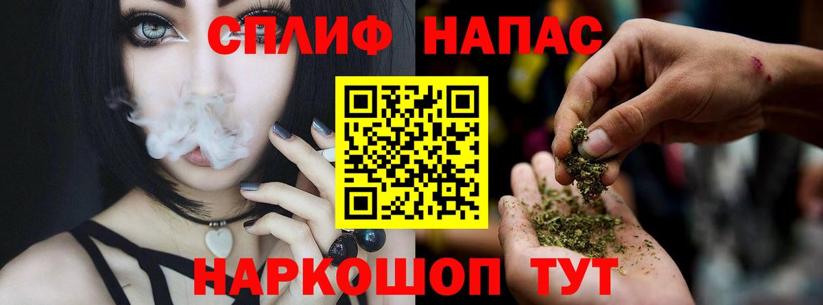 Каннабис сатива Дзержинск